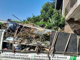 Best Hot Tub Removal  in Martins Ferry, OH